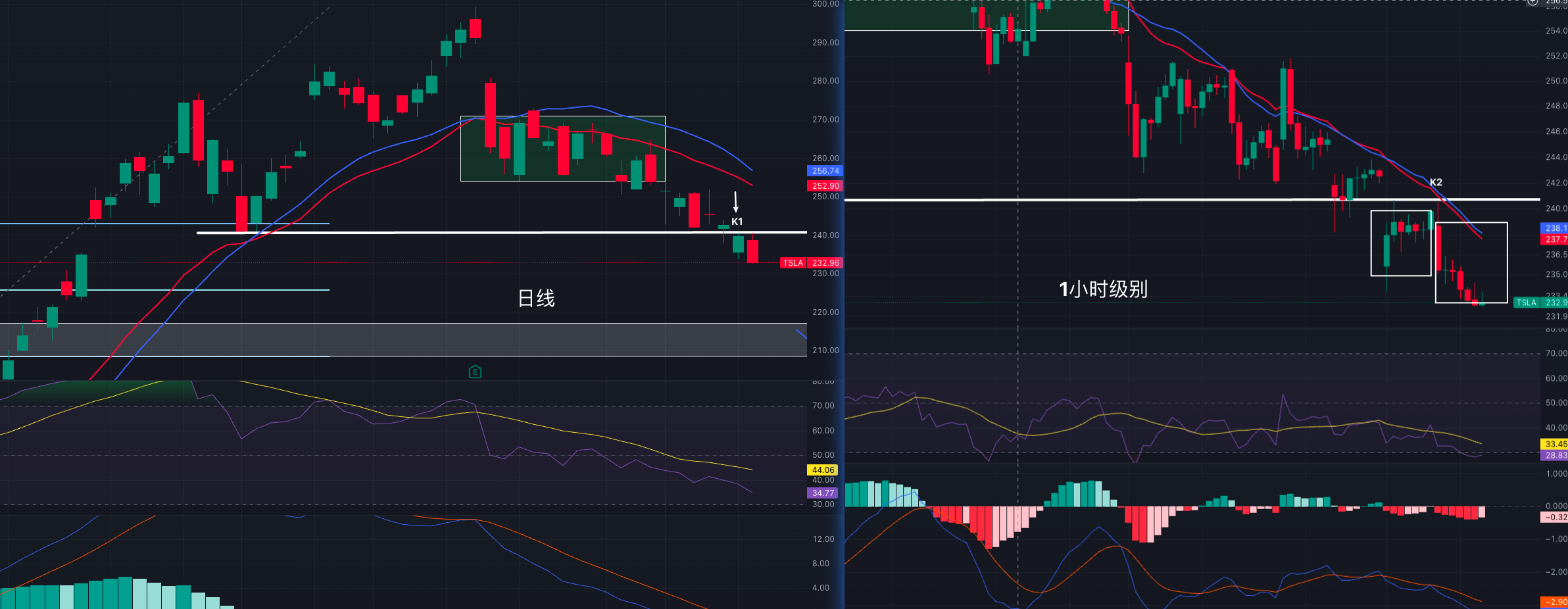 Tesla240点K线图